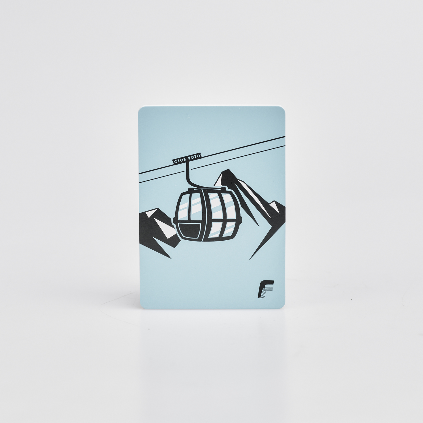 Flight Risk